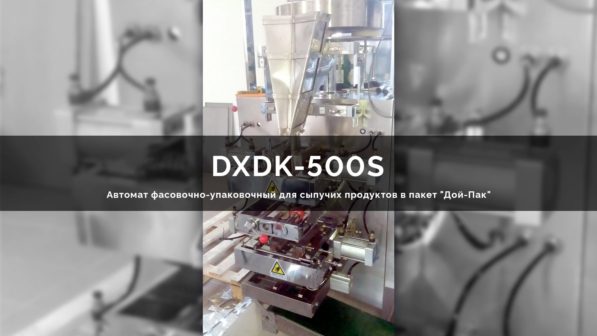 Фасовка и упаковка сыра кусками на DXDK-500S Фасовка и упаковка сыра кусками на DXDK-500S