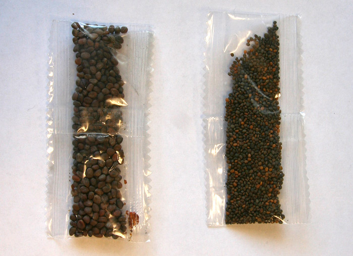 Упаковка семян